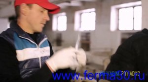 Кольцо бык телёнок верблюд свинья буйвол установка
