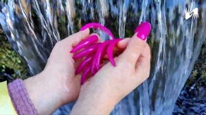 LONG NAILS - Spring in the mountains (Albania)
