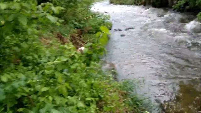 Поисковый магнит. Магнитная рыбалка: тяжелый металл смотреть онлайн