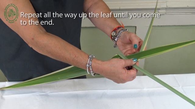 Foliage Manipulation 1 смотреть онлайн