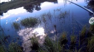 21-06-2020-речка-ВЕРЯЖКА-регион-53 ?