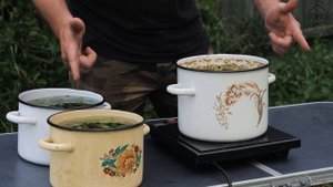 Готовлю сироп-варенье из сосновых шишек - витамины на зиму