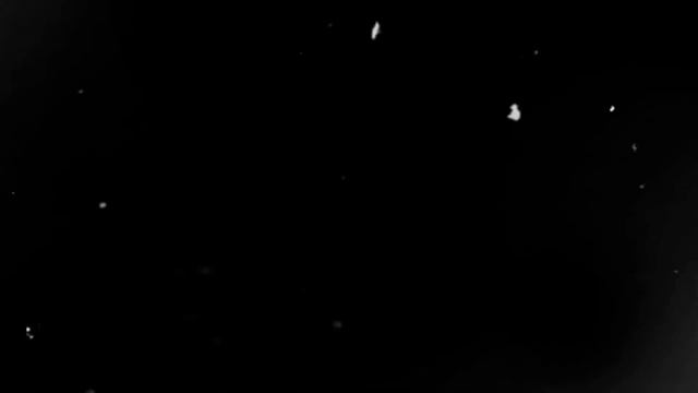 Я хочу любить, что я знаю о любви? (CarX) С новым годом 2024 ! смотреть онлайн