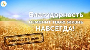 Утренняя медитация благодарности. Мощная мотивация на весь день + высокие вибрации. Ева Ефремова