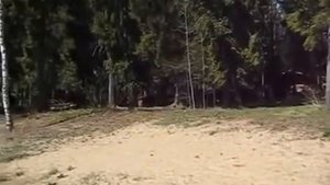 База отдыха Хатинь Бор Селигер