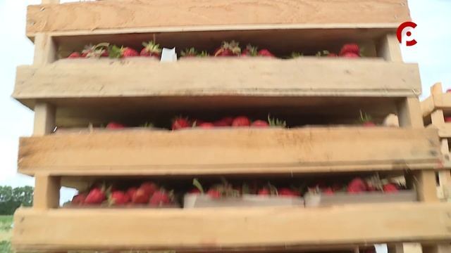 Живая деревня 2021.07.09 смотреть онлайн