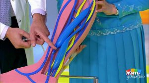 Почему врут весы. Жить здорово! Фрагмент выпуска от 23.11.2017