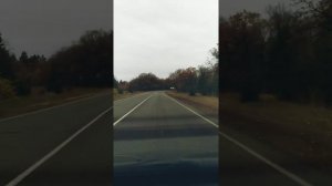 Осенняя дорога. Карай-Салтыково - Инжавино.