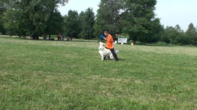 Frisbee Freestyle Светлана и Космос.mp4