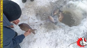 Проверка сети в зимний период..avi