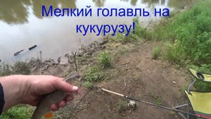 Лещ на фидер - река Белая. Поставил кормушку от донки и ......