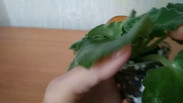Пенопластовые шарики как разрыхлитель