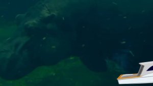 Интересные факты про бегемота!  Бегемот Против Гиены, Льва, Крокодила, Буйвола и Даже Слона!