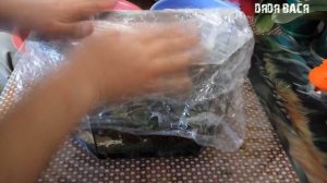 Анубиас помещаем в тепличку на подоконник! Тепличка для аквариумных растений  на подоконнике!