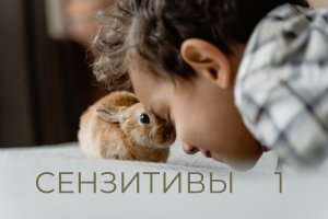 Сензитивы. Часть 1. Кто такие сензитивы? Как распознать в себе и окружающих этот психотип?