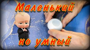 Датчик протечки воды | Умный дом