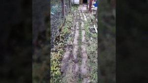 Покупка дома в деревне для дачи