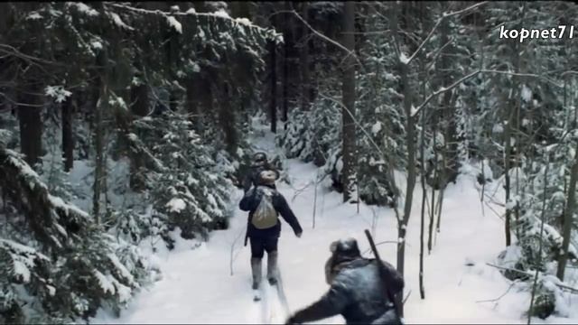 Волчья кровь - Комиссар