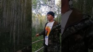 охота на лося в период гона. первый выезд.