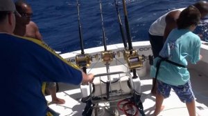 Mauritius Island.Blue marlin. Наша рыбалки на Голубого Марлина  .Маврикий .Fishing in Mauritius