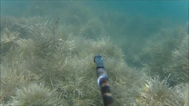 Озеро. село Пироговка. смотреть онлайн