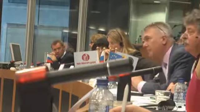 Зазнобин В.М. Европейский русский форум, Европарламент, Брюссель (29 ноября 2010 г.) смотреть онлайн