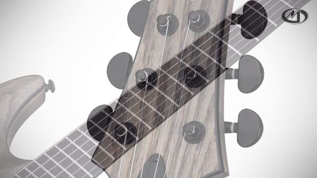 SCHECTER C-1 APOCALYPSE FR смотреть онлайн