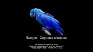 Закулисье Концовки 4