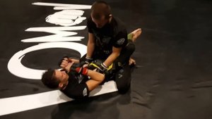 ММА — Выход из маунта в САМБО и BBJ (Mount escape in MMA)