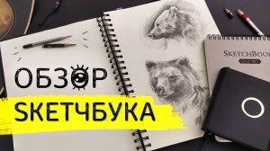 Обзор скетчбука: Секретные записи под обложкой // SKETCHBOOK TOUR