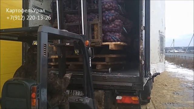 02.11.2018г. Тел: 89122201326 - картофель оптом. Гололёд нам не помеха... Берём Казань!!! смотреть онлайн