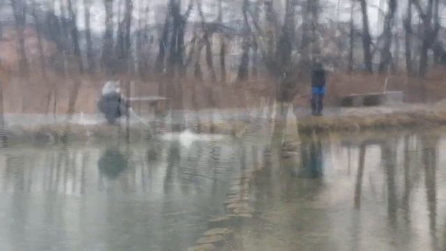 Мисайлово Trout. Зарисовка сегодняшнего клёва форели