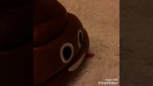 Фильм про какашку и Тимофея