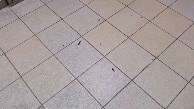 Шок. Астрахань. Реформат. Новый взгляд на бизнес. Как так можно было? смотреть онлайн