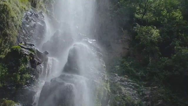 99%,Мгновенно Засыпают Шум Дождя В Тропическом Лесу Звуки Дождя И Грома Для Сна смотреть онлайн