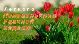 С легким Понедельником! Поздравление с понедельником. Красивая музыкальная открытка . Открытка с пож