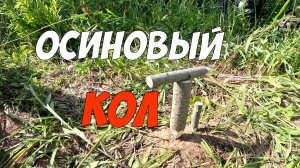 Осиновый кол - советы по защите от нечисти, ведьм и колдунов!