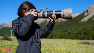 Nikon 200-500 v/s Sigma 150-600 Contemporary