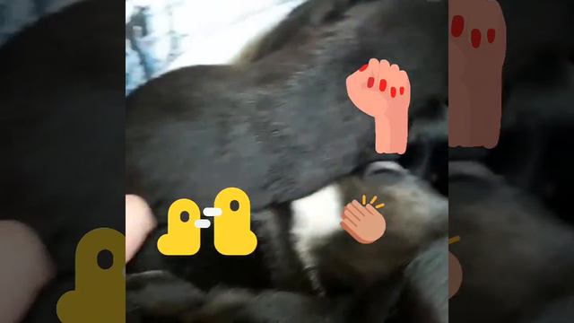 У нас открылись глазки смотреть онлайн