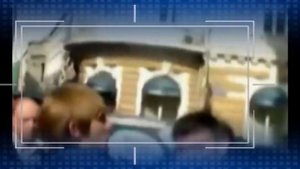 ГОРОХОВЫЕ ЗЕРНА. (Наутилус Помпилиус)