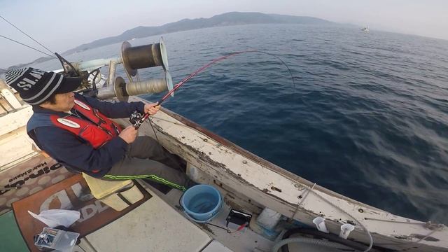 HAYABUSA PLAT collaboration Yellow Tail Sabiki смотреть онлайн