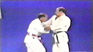 Техника джиу джитсу - 2