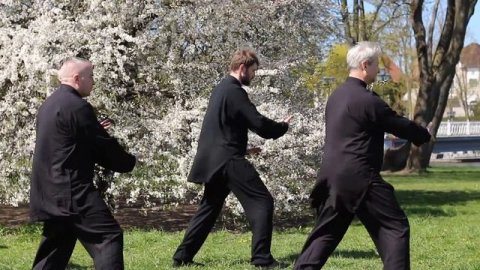 Академический (cпортивный) тайцзицюань (фрагмент комплекса из 24 форм)