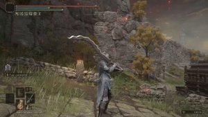 5 ОЧЕНЬ РЕДКИХ ПУШЕК В ELDEN RING Часть 1 | Очень Редкое Оружие Elden Ring | Оружие Elden Ring