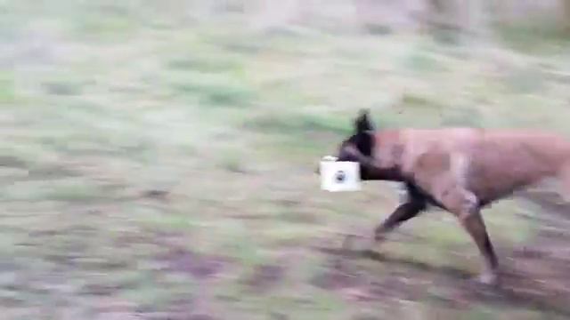 Мягкий апорт смотреть онлайн