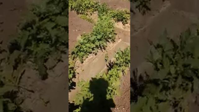 армированная плита под блоки ФБС набрала уже прочность чтобы установить ФБС блоки сверху два ряда.? смотреть онлайн