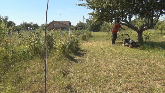 Газонокосилка - покос сорняка в саду смотреть онлайн