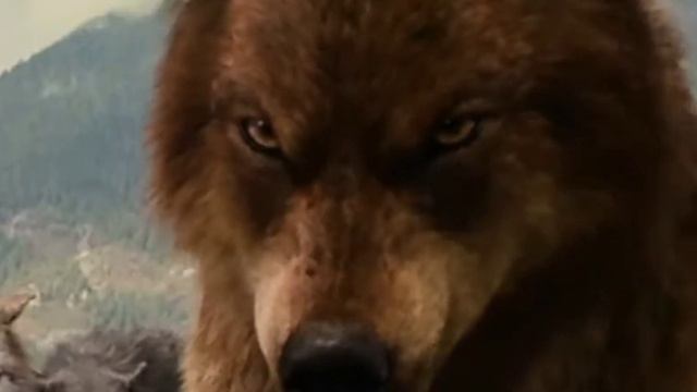 Клип Сумерки || The resistance(Skillet) смотреть онлайн