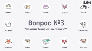 5 популярных вопросов о выставках собак