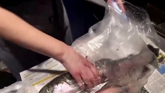 Как чистить рыбу / Как чистить рыбу от чешуи